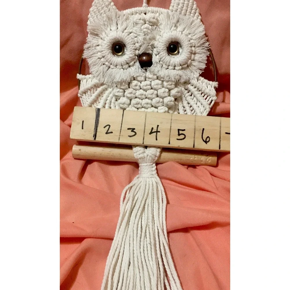 Owl Macrame Wall Hanging Handmade Woven Tapestry Boho Art Home Decor Tassel Read